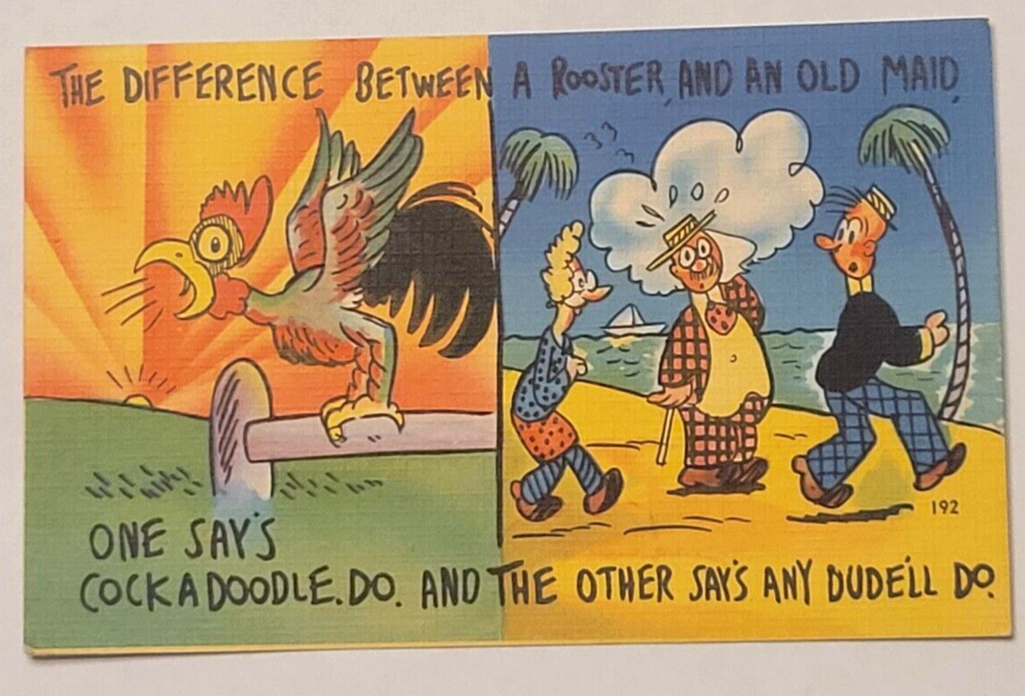 Difference Between A Rooster And Old Maid Vintage Novelty Postcard