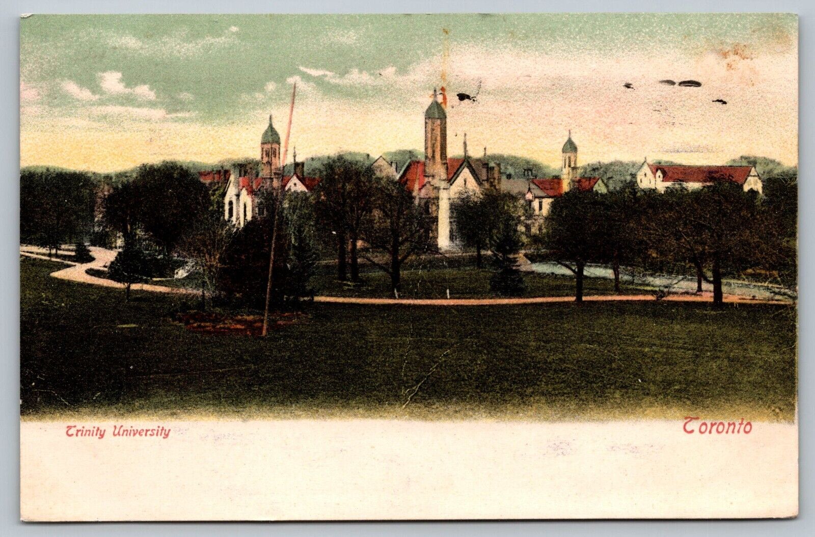 Postcard Trinity University Toronto Private Post Card c: 1906 Canada 