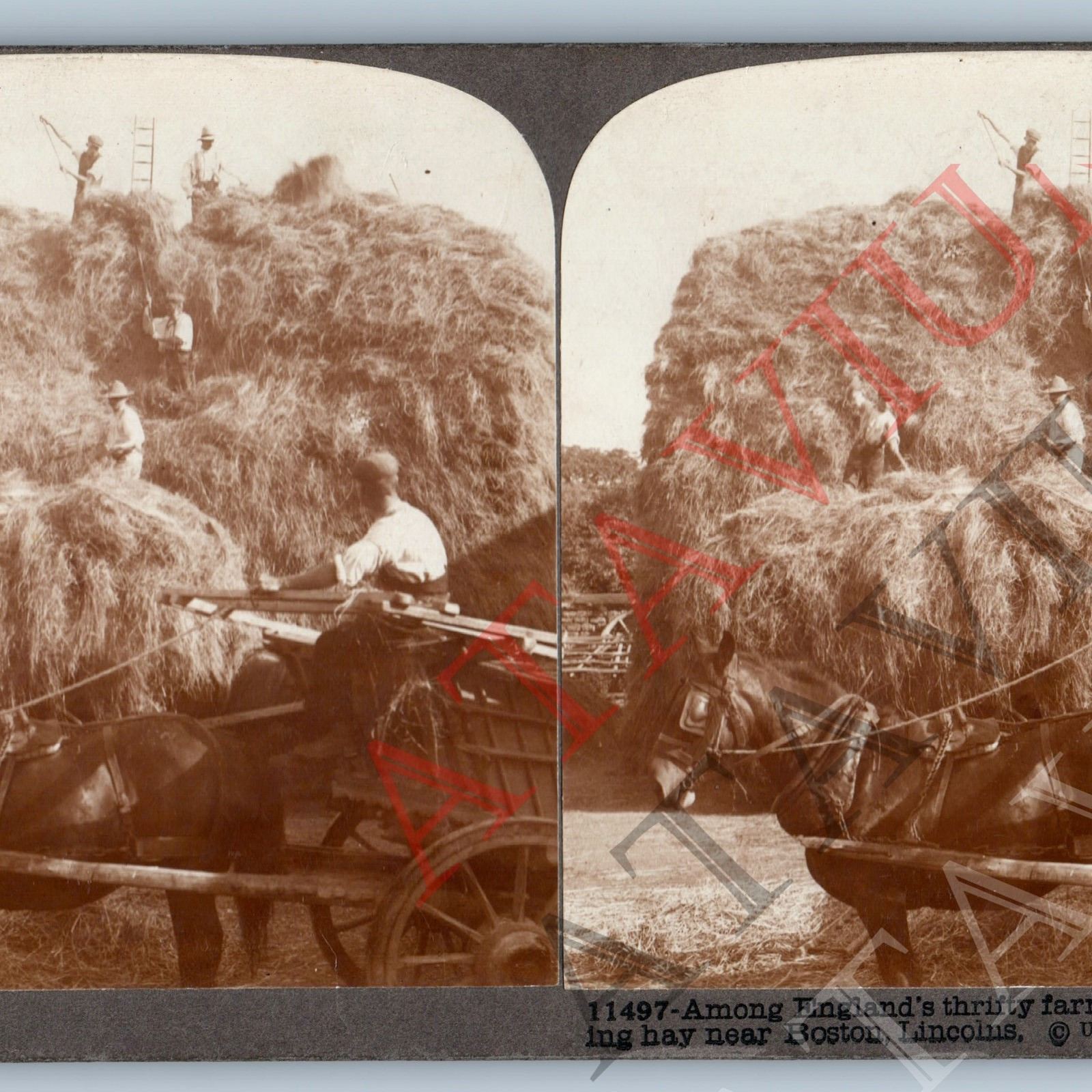 c1900s Boston, Lincolnshire, England Farmers Hay Stack Real Photo Stereoview V44