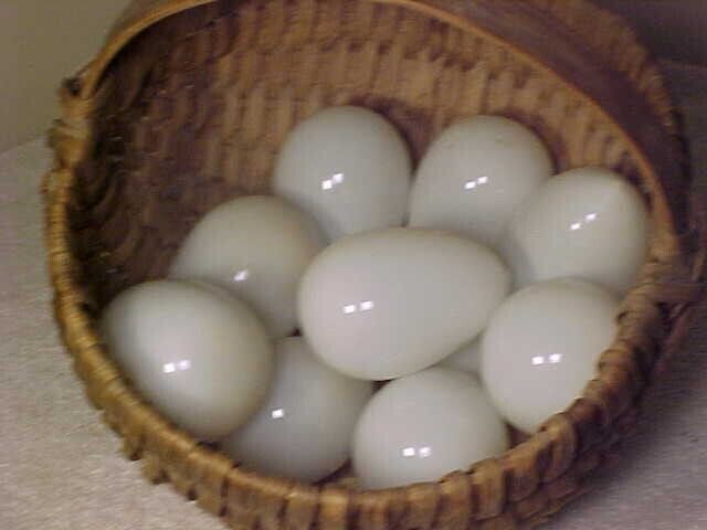 10 ANTIQUE VICTORIAN HAND BLOWN MILK GLASS EGGS NEVER PAINTED       EGGS ONLY