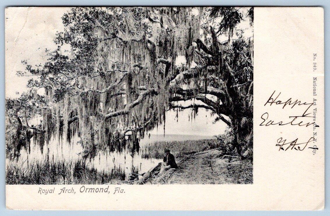 PRE-1907 ORMOND FLORIDA*FL*ROYAL ARCH TREE*NATIONAL ART VIEW CO POSTCARD