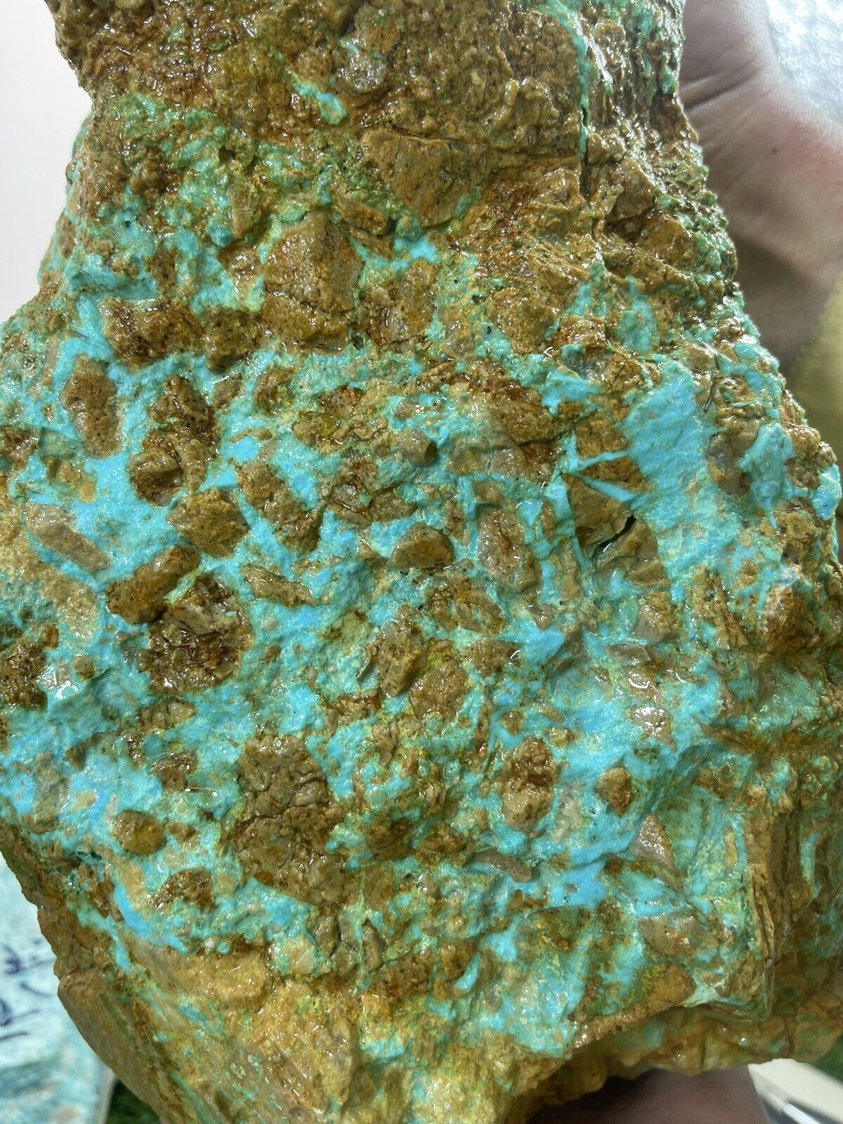 Natural Untreated Unstabilized Museum Sized Rough Persian Turquoise In Matrix