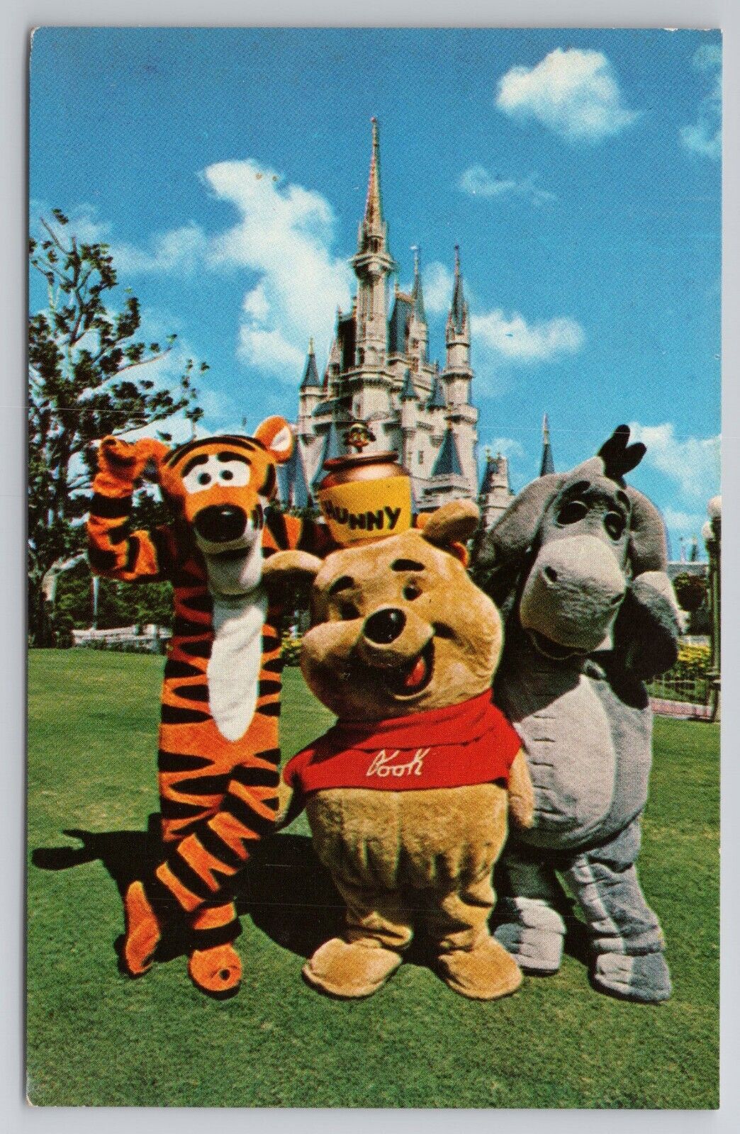 Disney World Walt Postcard Vintage Fantasyland Winnie The Pooh Tigger
