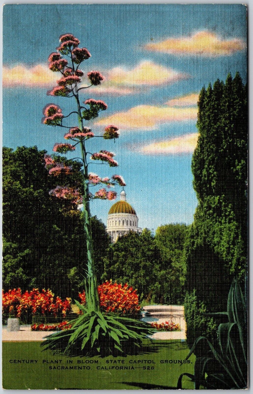 Capital Park, Sacramento, California - Postcard
