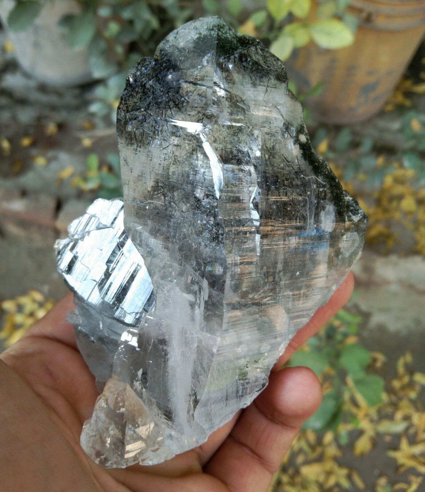 tourmaline included quartz crystal Amzing formation