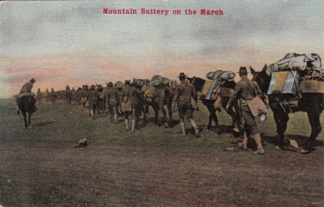 Antique Postcard Mountain Battery on March Military 