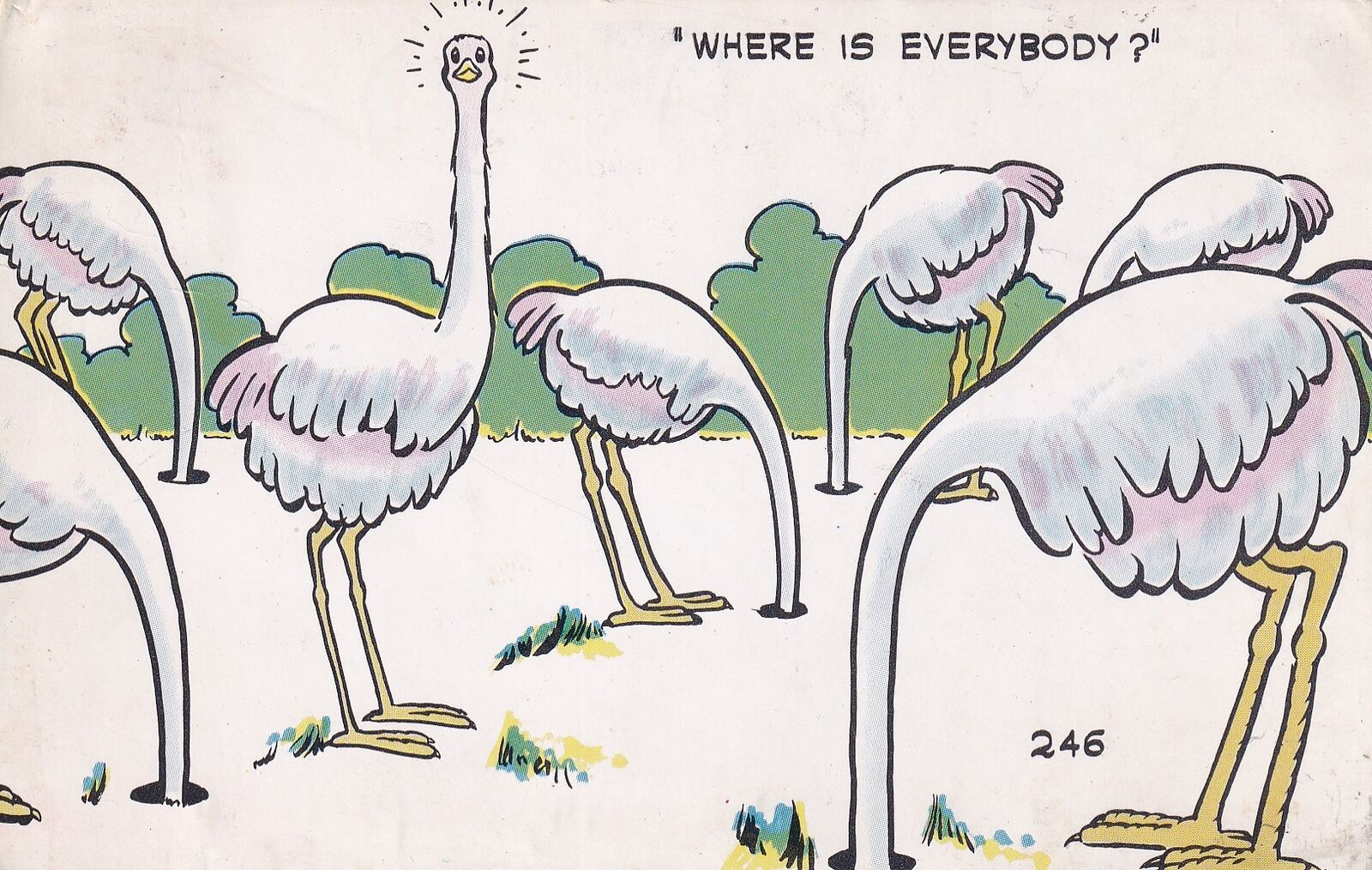 Where Is Everybody Ostrich Comicard by Clem Postcard 1957 Long Beach CA D04