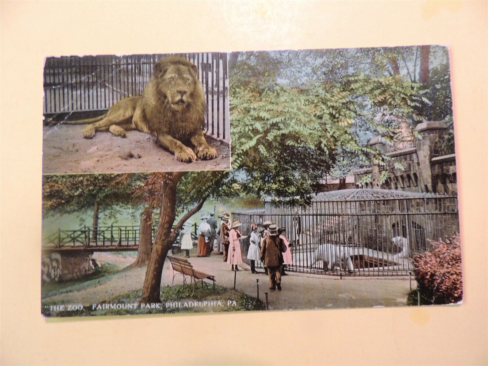 The Zoo Fairmount Park Philadephia Pennsylvania vintage postcard 