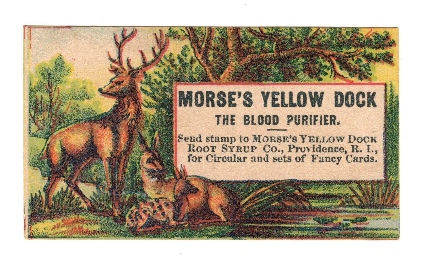 Dr Morses Yellow Dock Root Syrup Co The Blood Purifier Victorian Trade Card Deer