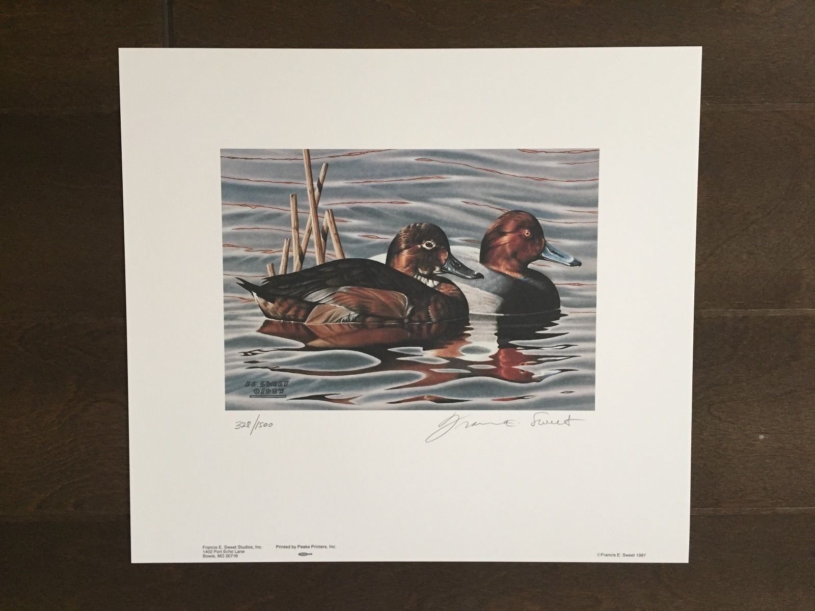 Maryland Duck Color Print -Signed by Francis Sweet -1987