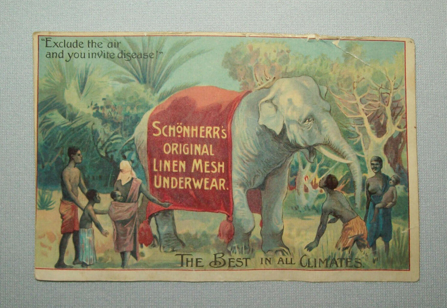 Old Antique Vtg 1900s Litho Trade Card Schonherrs Linen Mesh Underwear Elephant