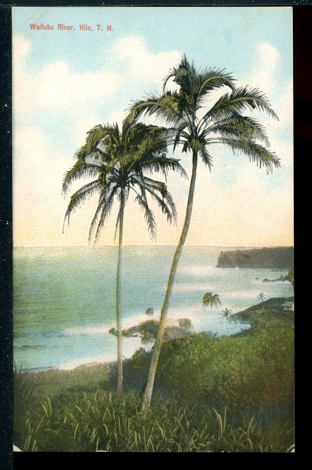 Early Hamakua Coast Wailuku River Hilo Big Island TH Hawaii Vintage Postcard