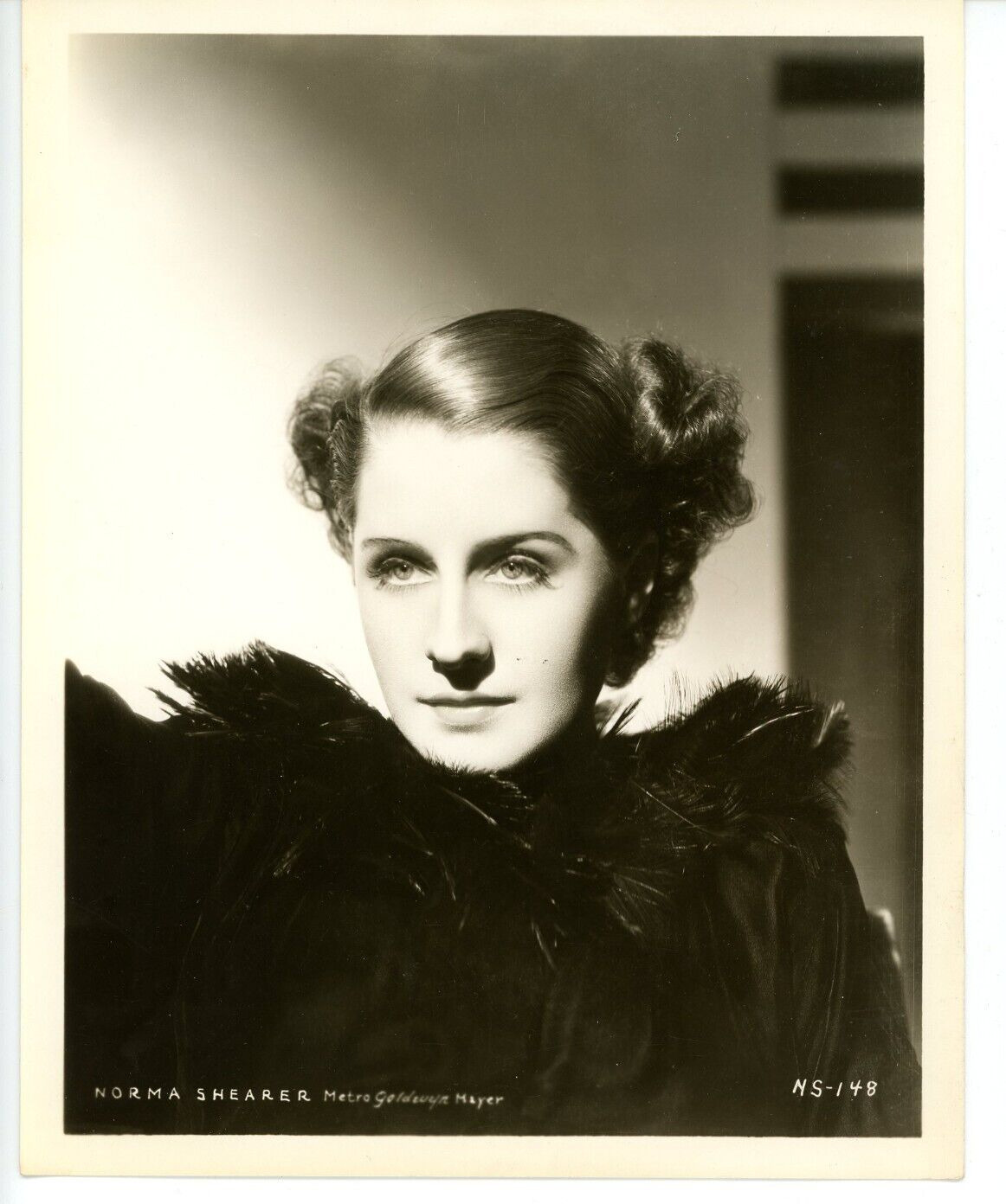 Vintage 8x10 DW Photo Actress Movie Star Norma Shearer