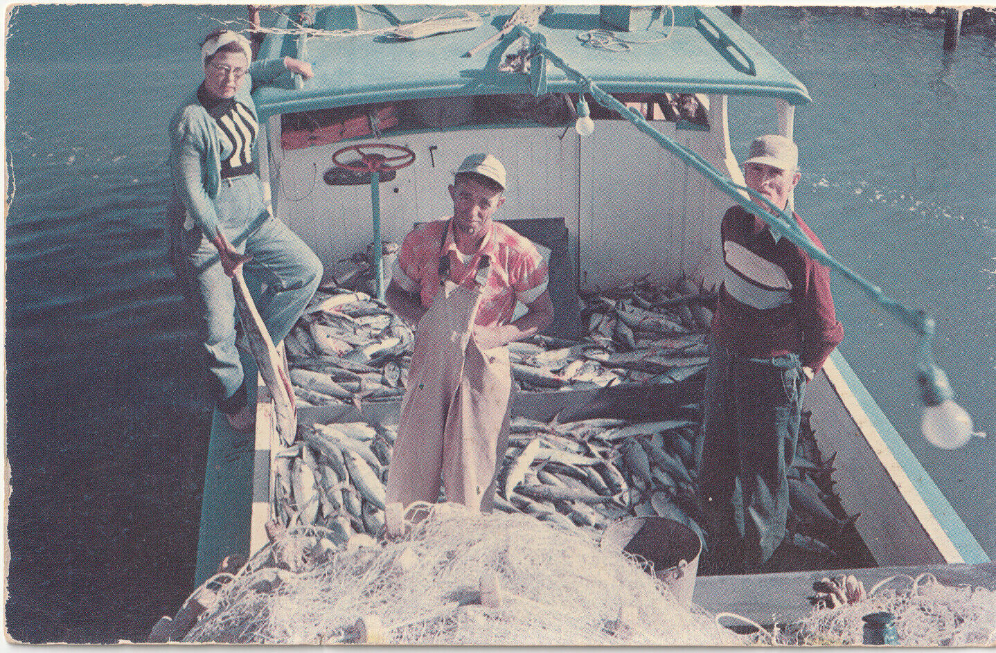 c1950s Fishermen on Fishing Boat Big Catch Vintage Florida Postcard