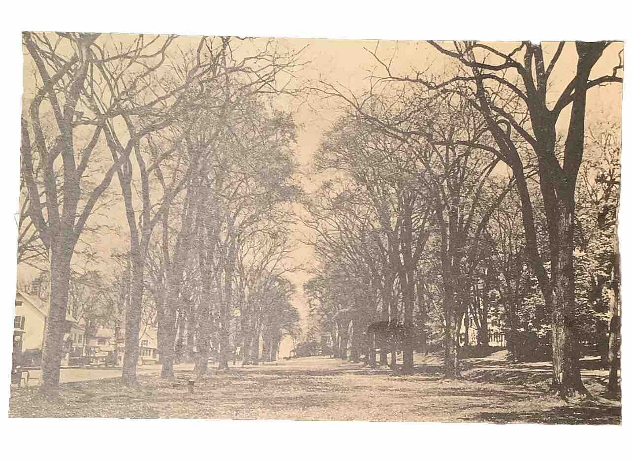 Sharon CT Connecticut~2 Century Old Green in Spring~1930s Vintage Postcard