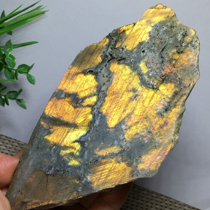 335g Natural Labradorite Crystal Rough Polished From Madagascar  145mm   N1288