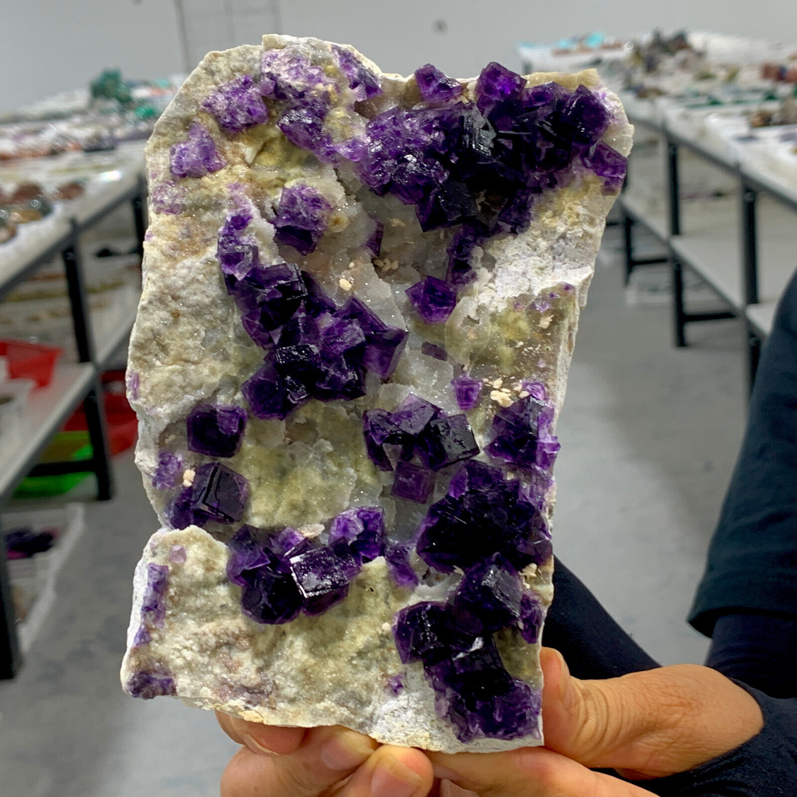 1.6LB Natural rare transparent purple cubic fluorite crystal sample/China