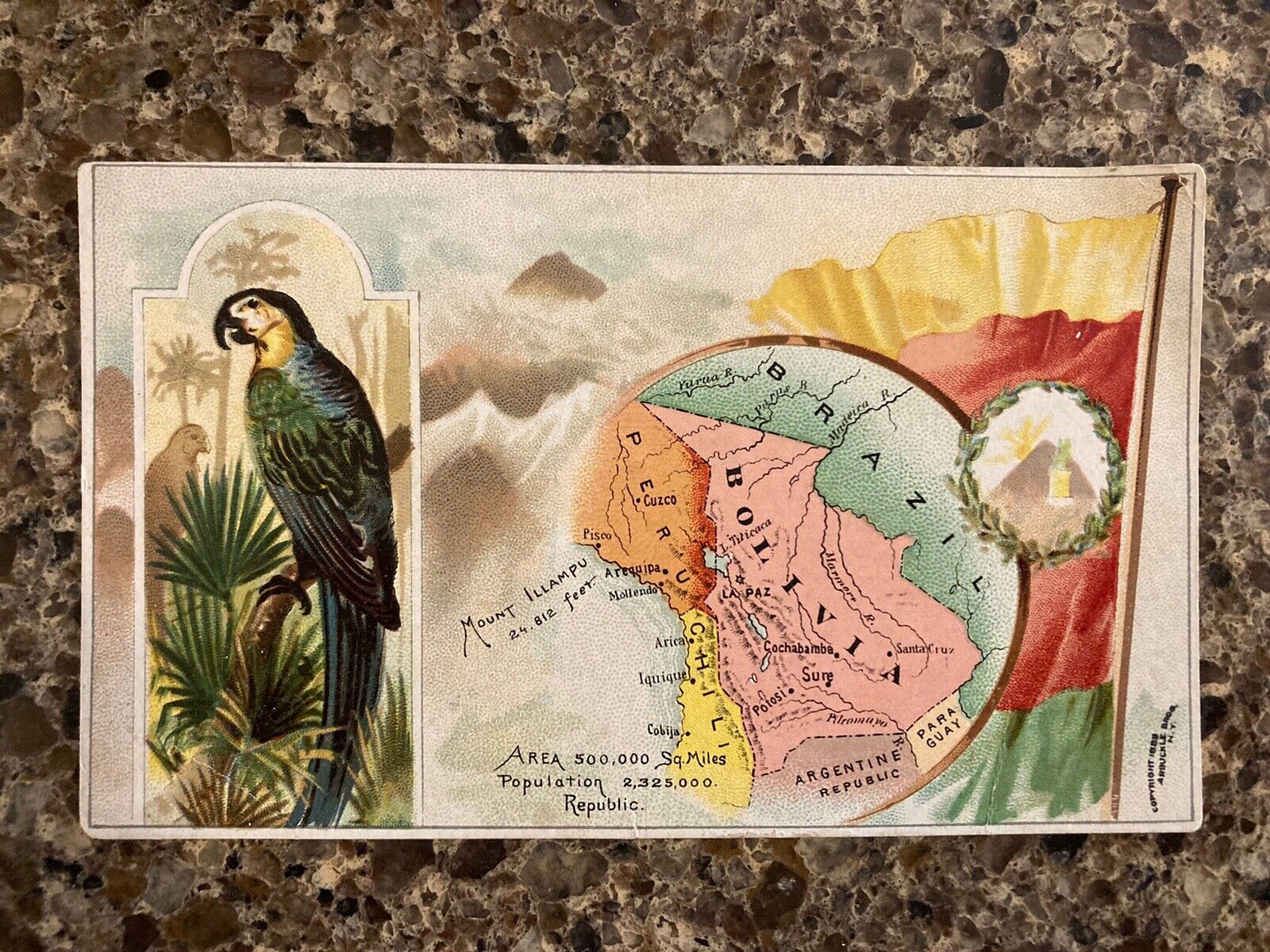 c1890 Victorian Trade Card Arbuckle Bros. Coffee Co., Map & Parrot