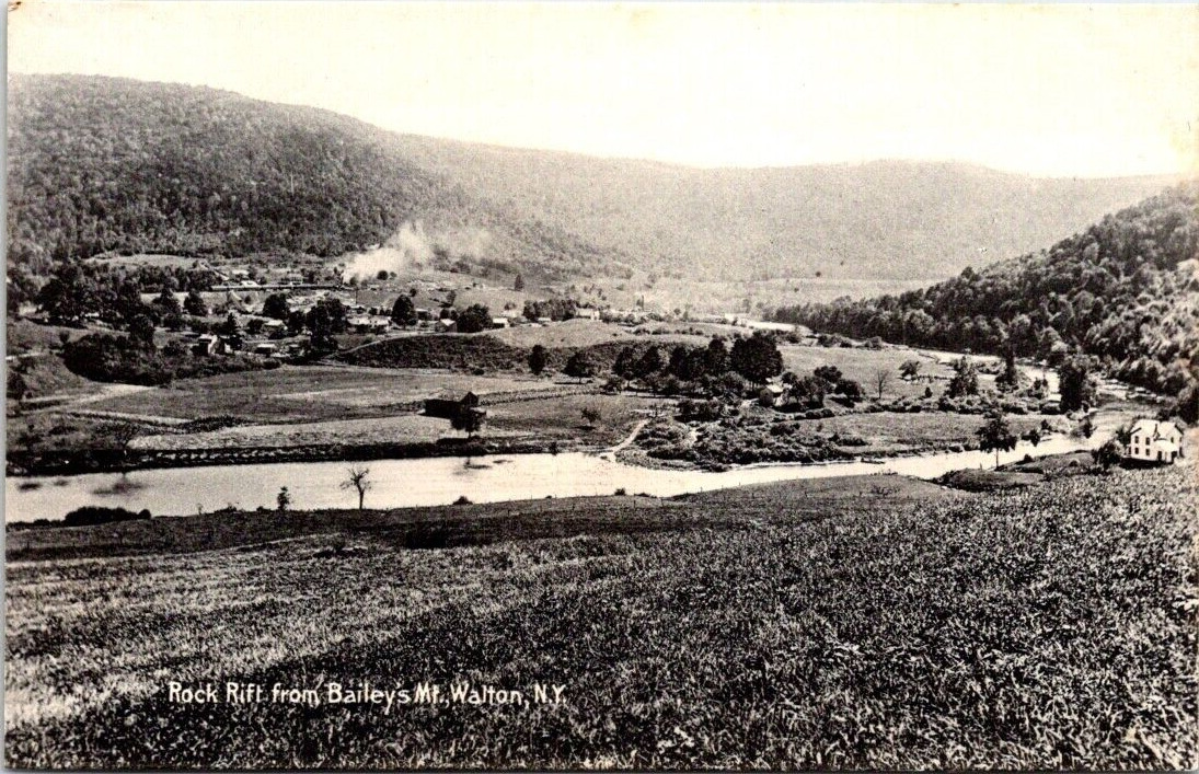 Postcard~Walton New York~Bailey\'s Mountain~Panoramic View~c1910