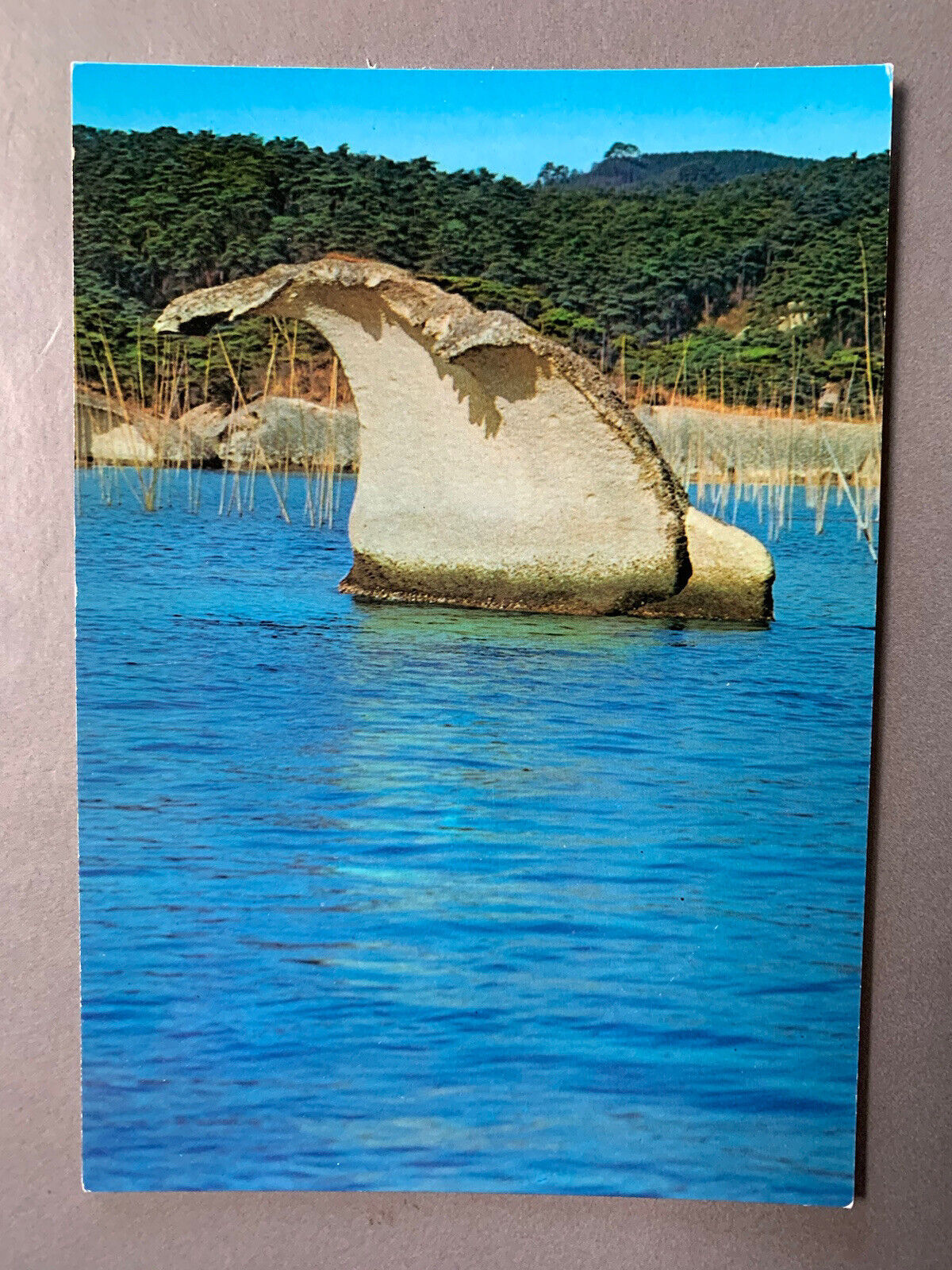 Vintage 70s 80s Scenic Matsushima Japan Postcard Unposted Japanese Nature Vtg