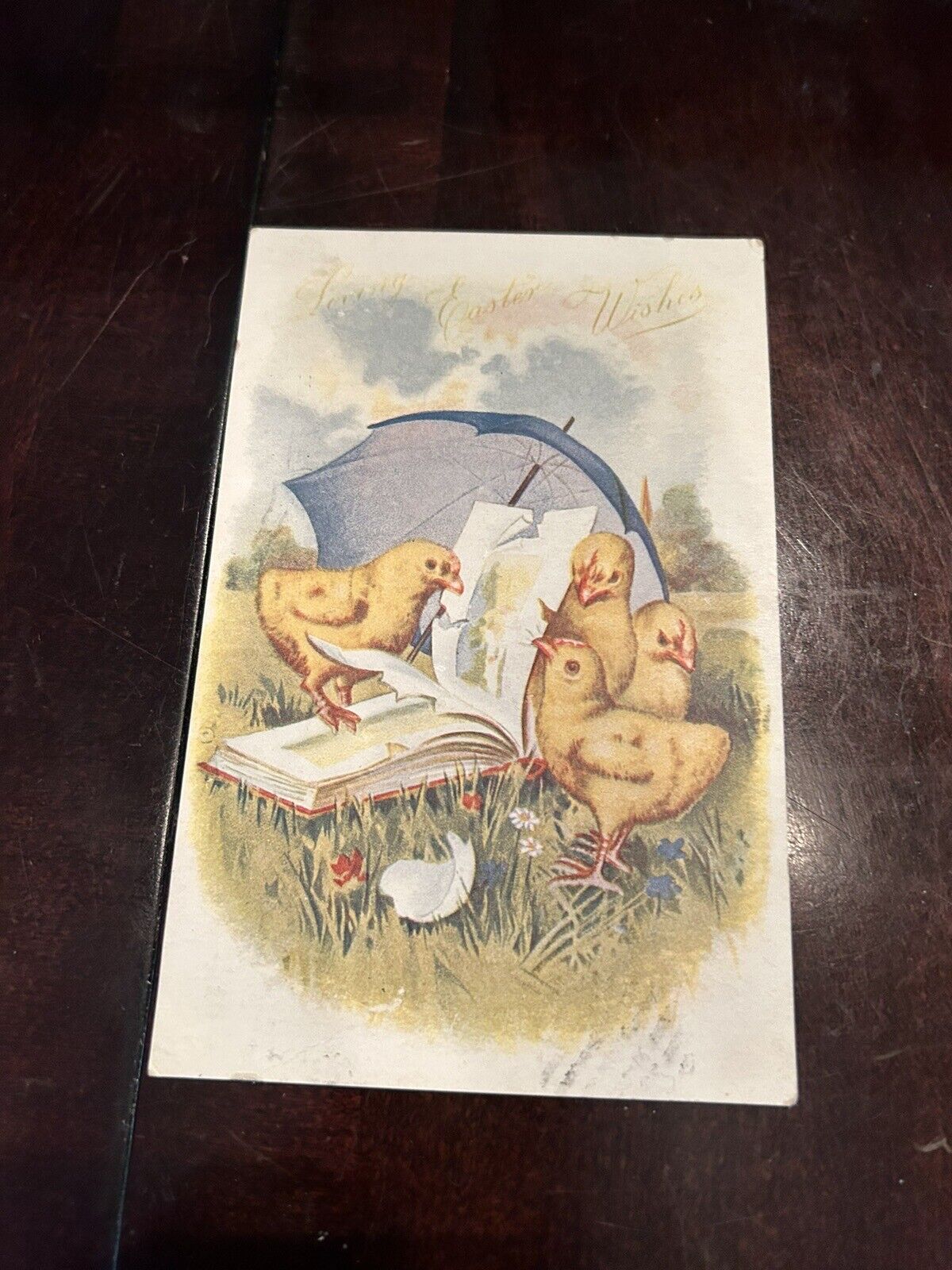 Easter Postcard Chicks Scratch Outdoors & Eat Book Umbrella UDB