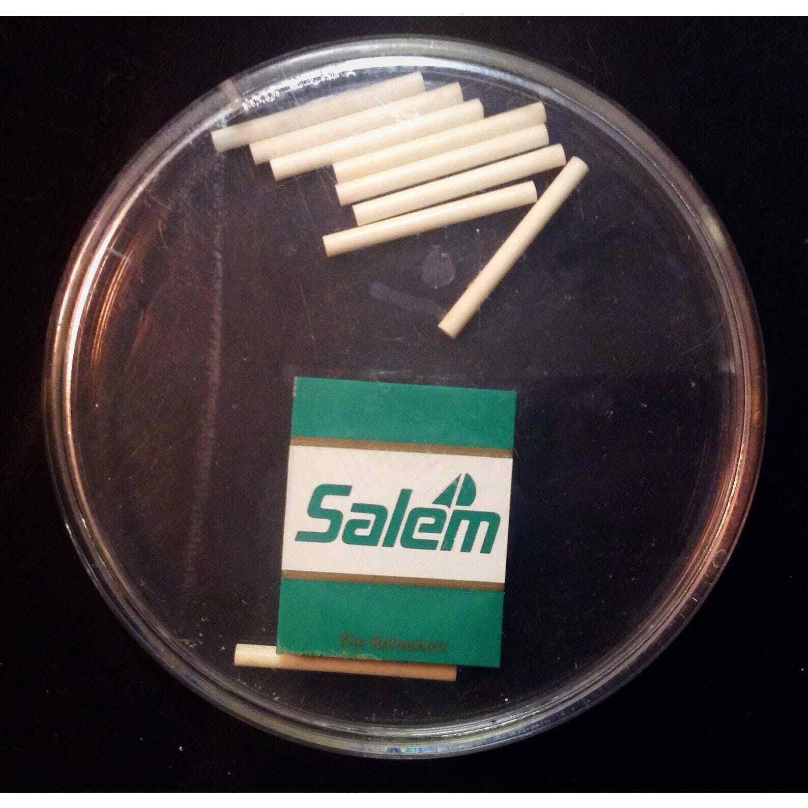 Vintage 1988 Salem Cigarettes Promotional Puzzle Brain Teaser Game