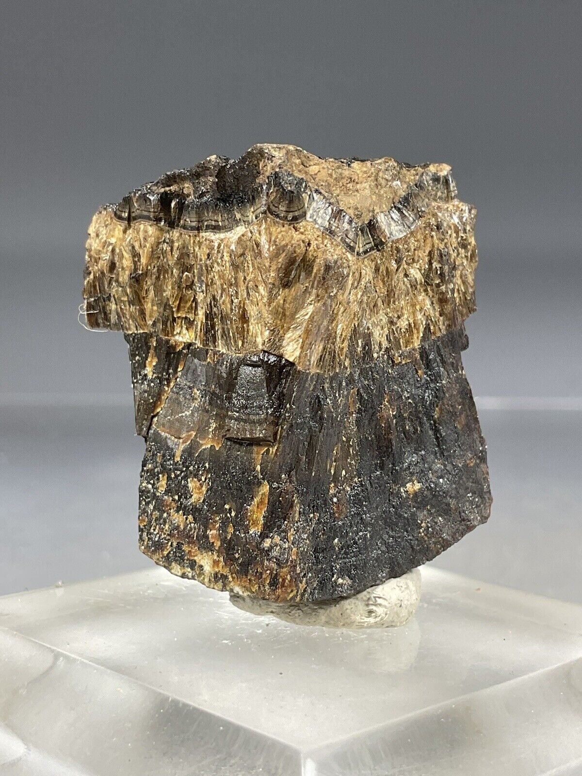 SS Rocks - Arseniosiderite (Utah) 49g