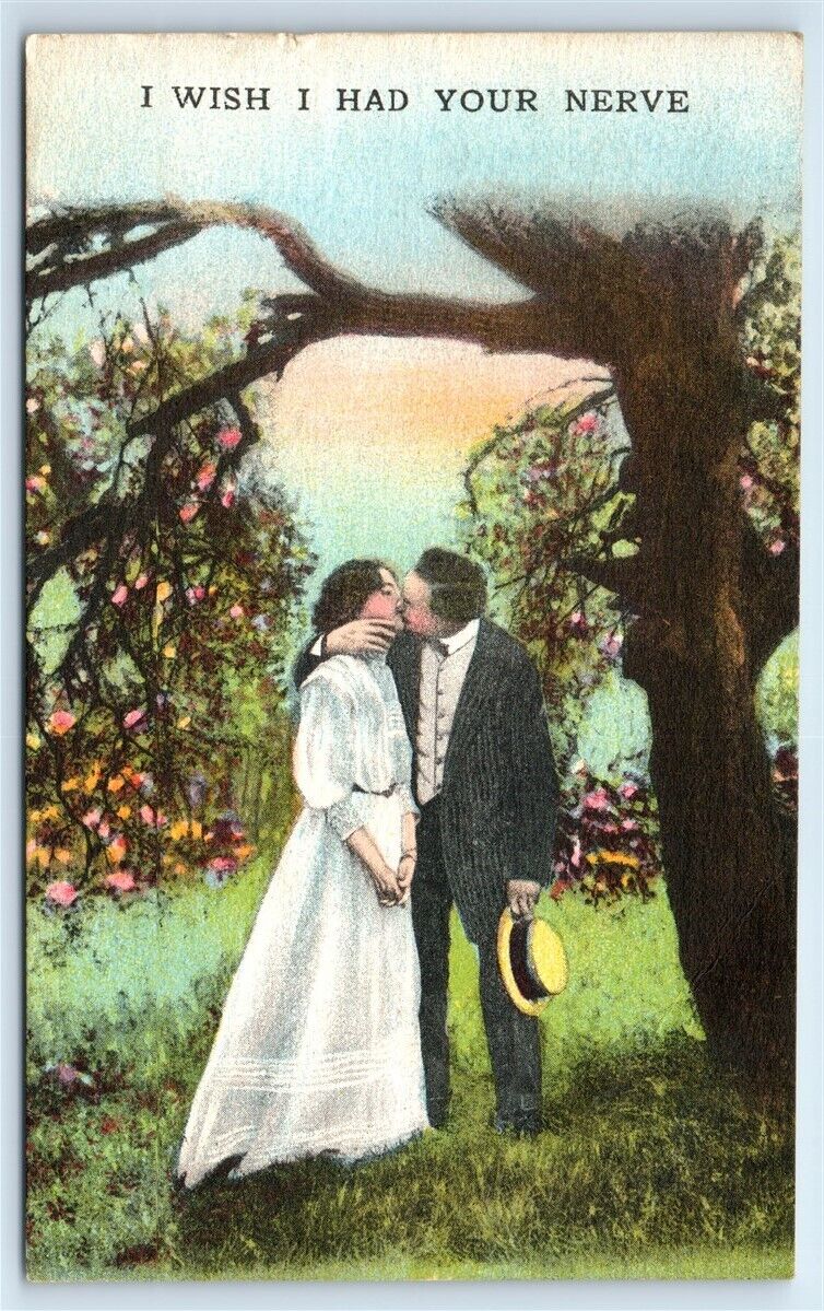 Postcard Romance, I Wish I Had Your Nerve greeting couple 1913 F197