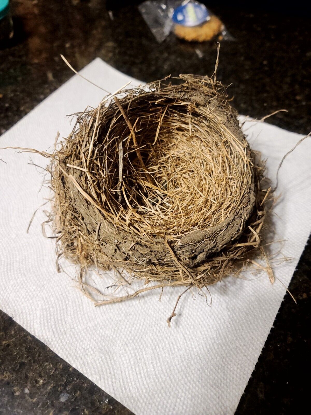 Real Bird\'s Nest, approximately 6\