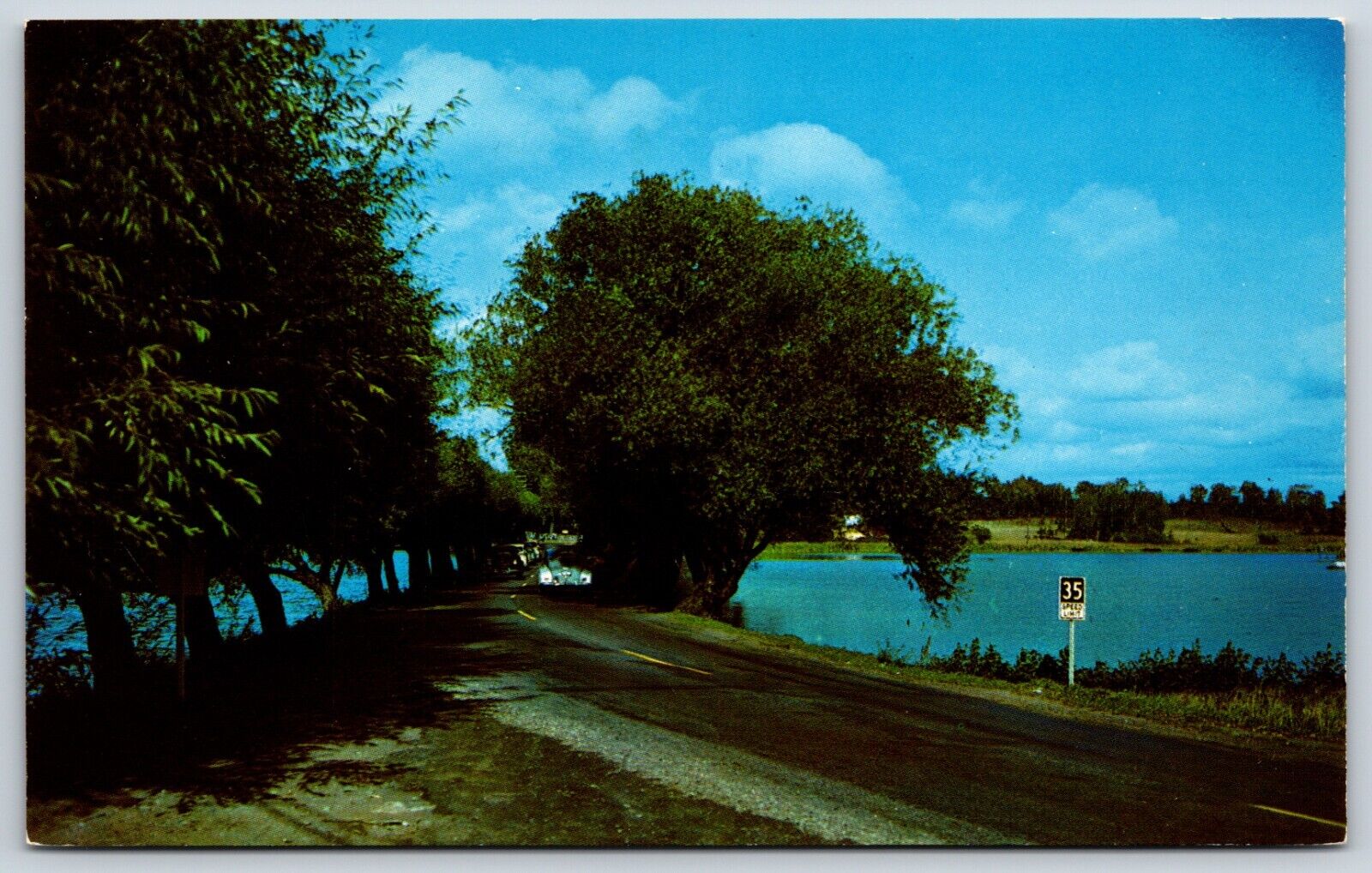 Postcard The Willows Between Minocqua And Woodruff Wisconsin Unposted