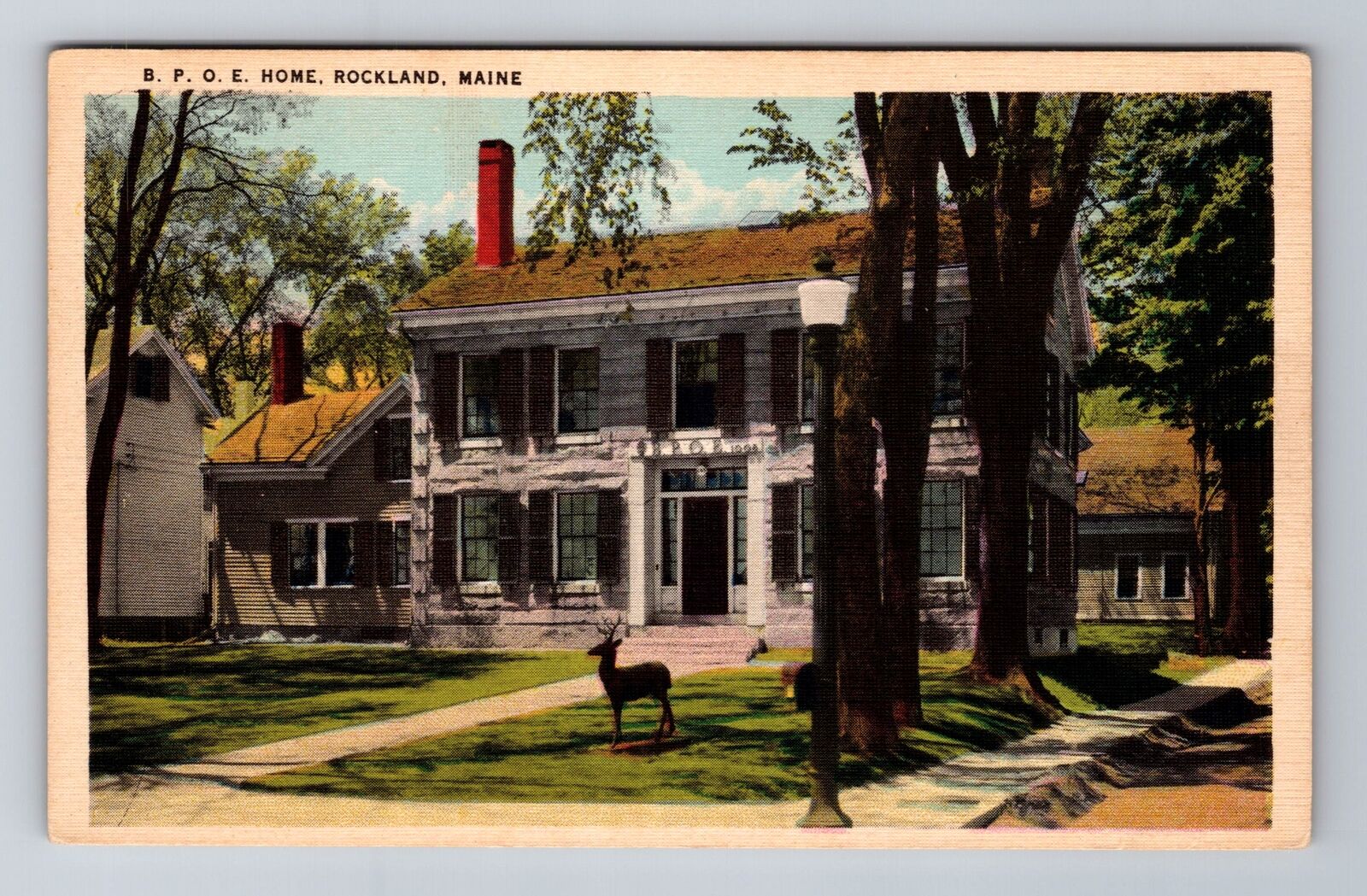 Rockland ME-Maine, B.P.O.E. Home, Deer, Antique Vintage Souvenir Postcard