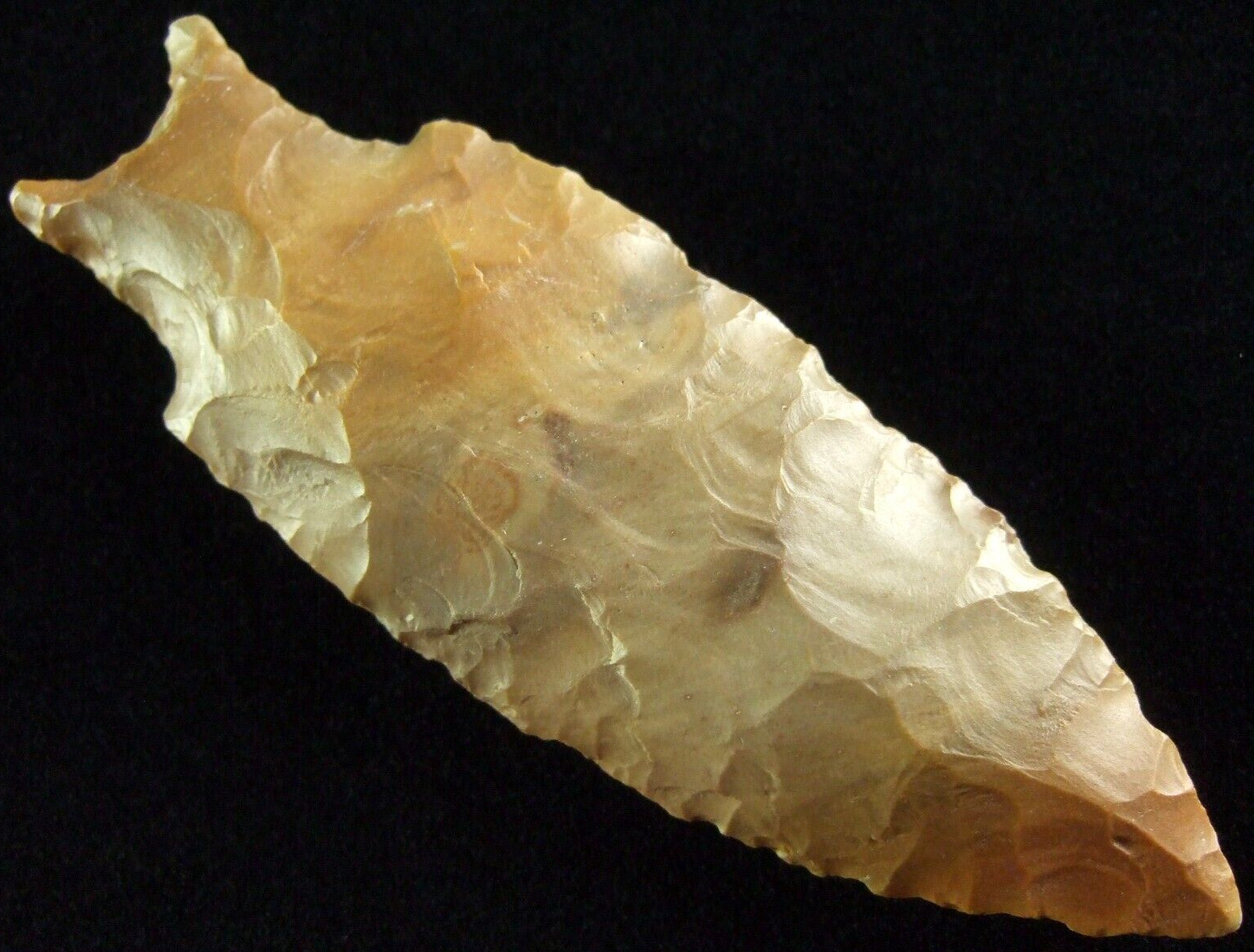 Exceptionally Fine Mississippi Patrick Stemmed Bifurcated DUAL COA Arrowheads