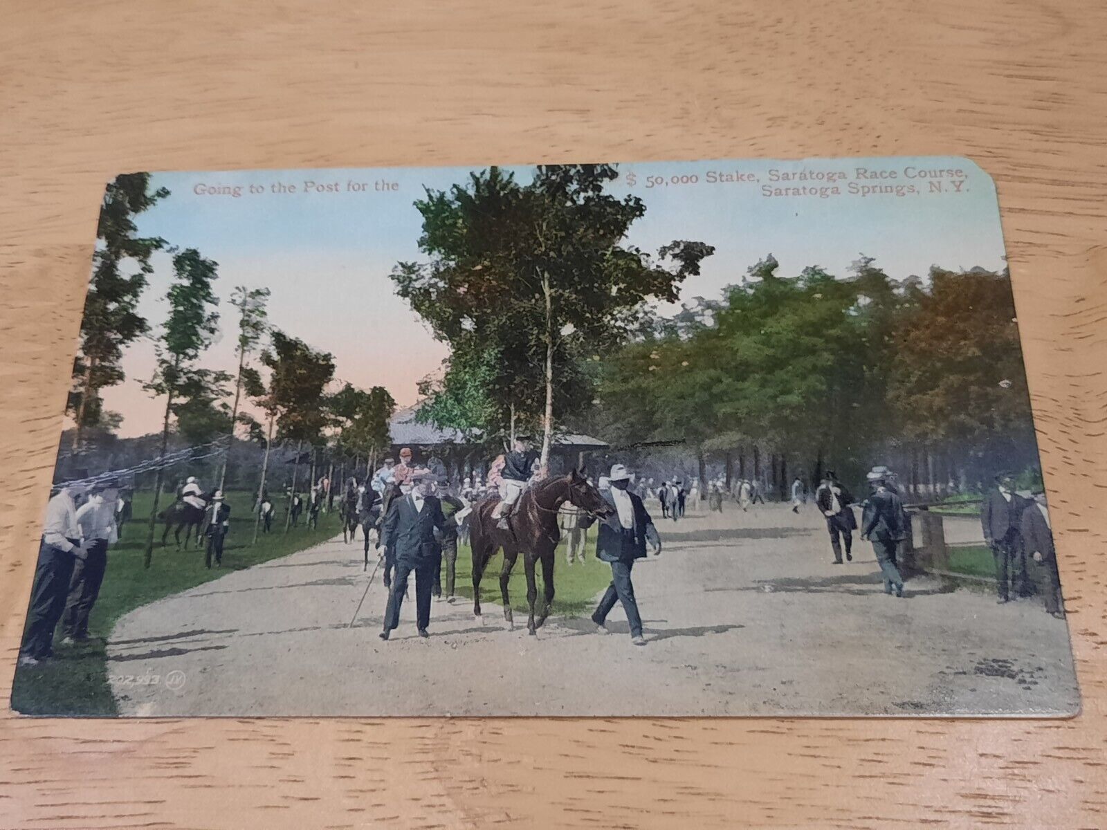 Going To The Post $50,000 Stake Saratoga Race Course New York Vintage Postcard