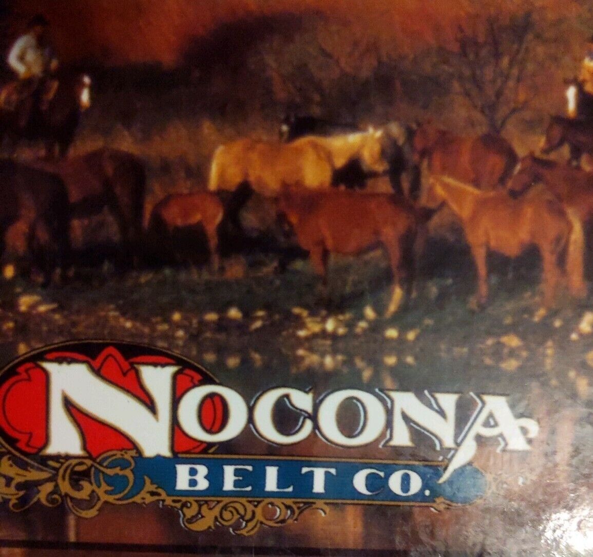 Framed Silver Tone Nocona Belt Buckle Western Cowboy Riding Bucking Bronco 