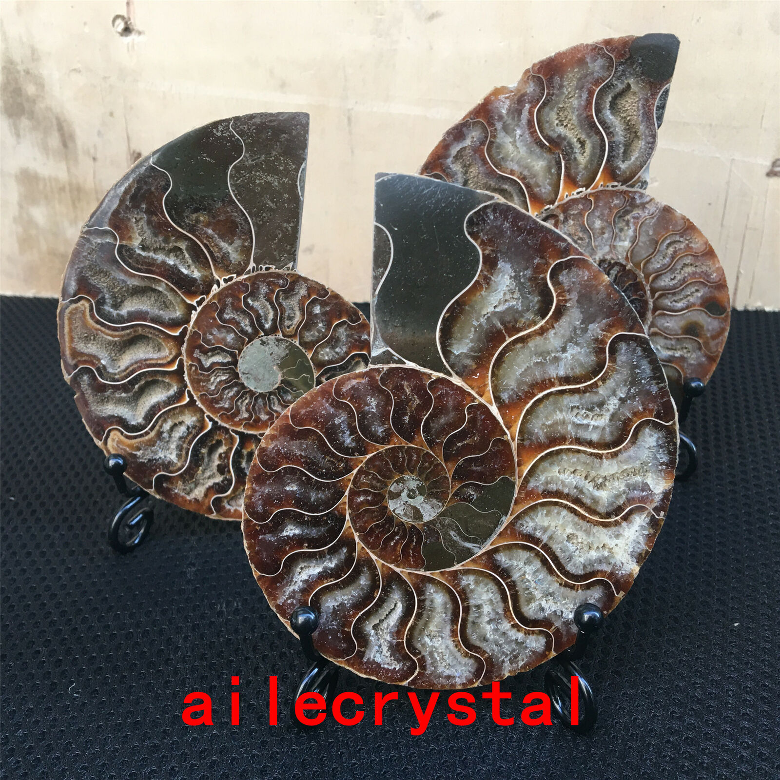 1pc Large Natural Ammonite Fossil Sea Conch Crystal Specimen Slice random