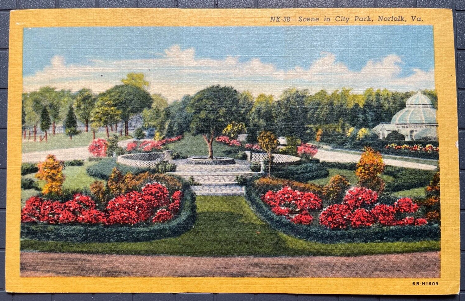 Vintage Postcard 1946 Floral Scene from City (Lafayette) Park Norfolk VA