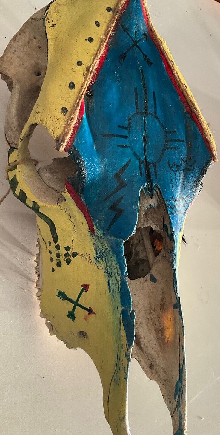 Cow Skull Hand Painted Native American Art