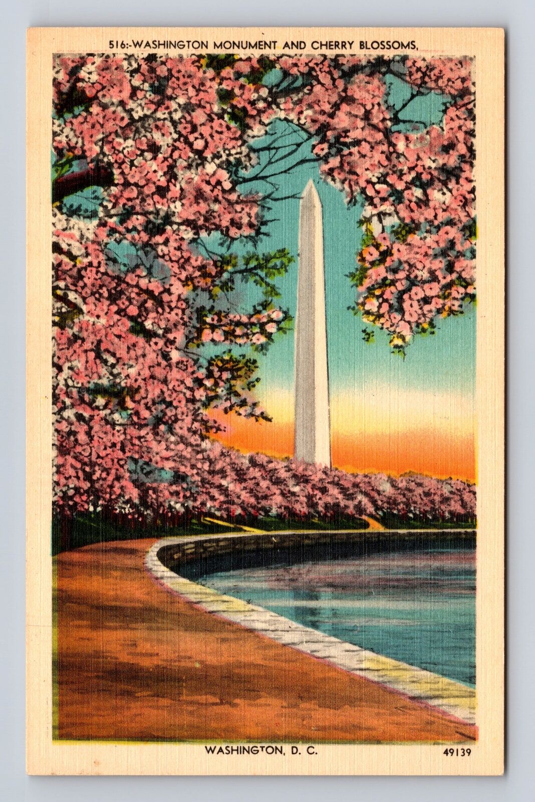 Washington D.C, Cherry Blossoms Frame The Washington Monument, Vintage Postcard