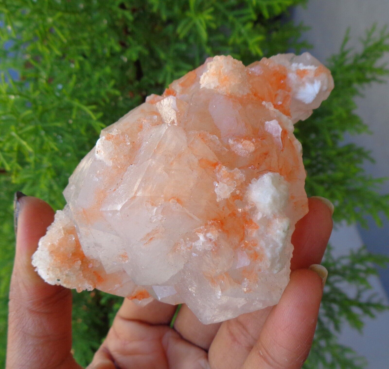 Light Orange Apophyllite Crystals w/ Okenite On Matrix Minerals Specimen #E34
