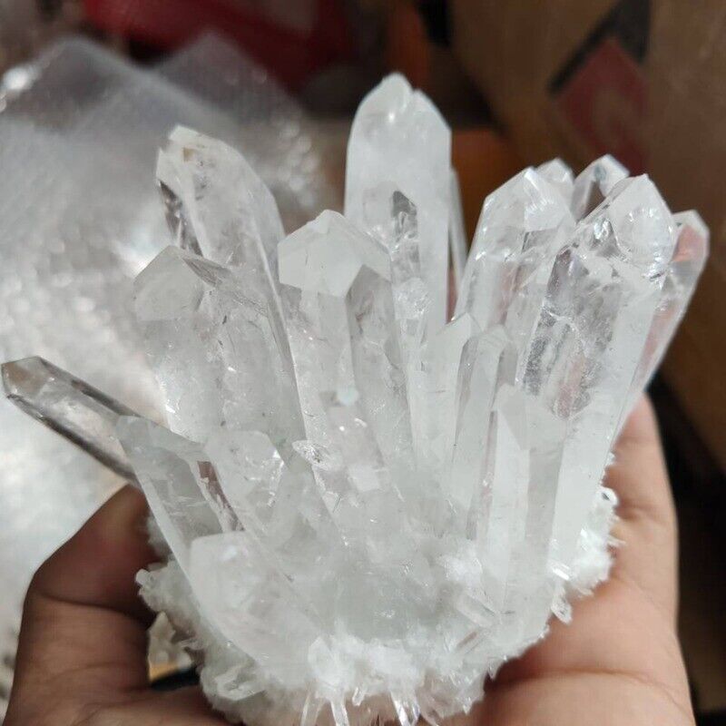 150g Large Natural Gemstone White Clear Quartz Crystal Cluster Point Specimens