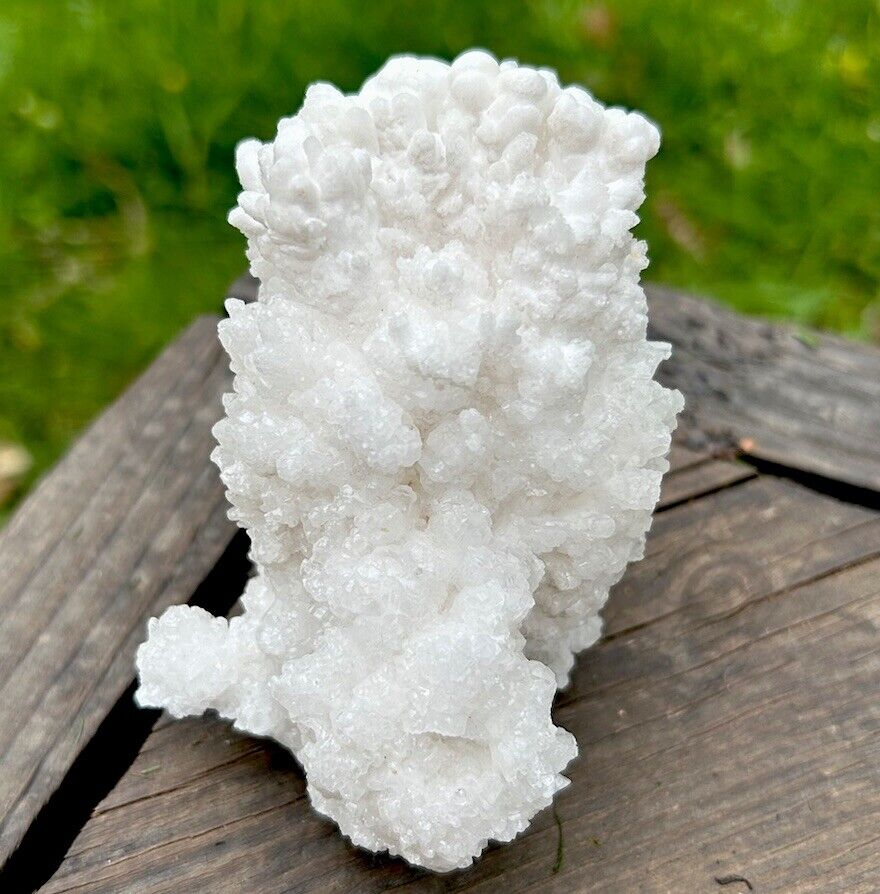 White CAVE ARAGONITE Natural Crystal Mineral Cluster Specimen - MEXICO