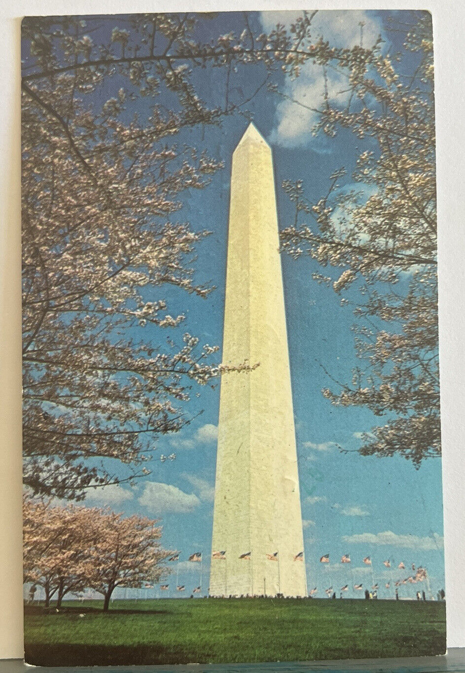 Vintage Post Card Washington Monument Washington DC DMV Real Photo