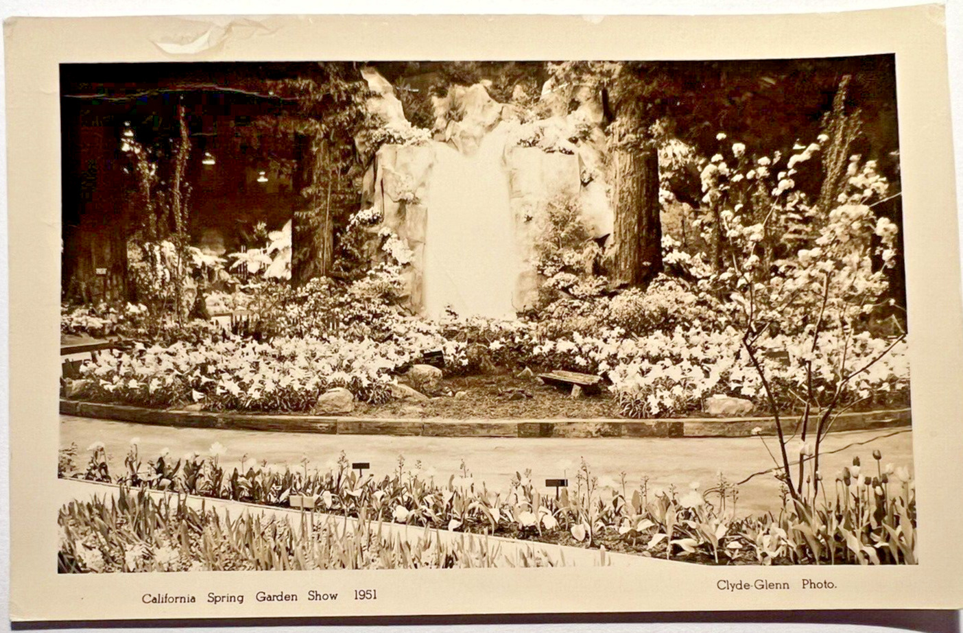 1951 RPPC BERKLEY CA SPRING GARDEN SHOW Postcard Clyde-Glenn Photo C2
