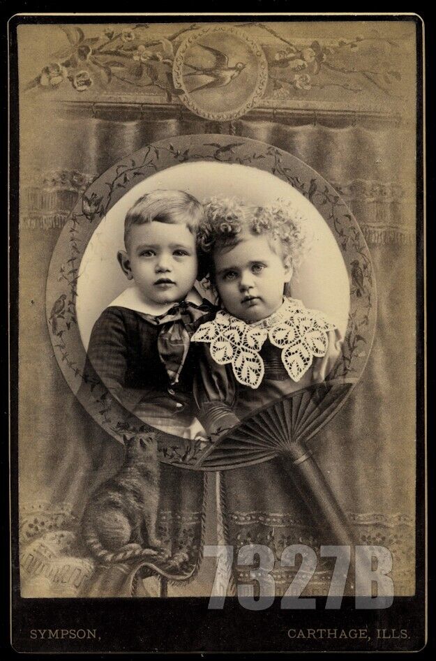 Cabinet Card Two Children with Cat Graphic Possibly Memorial Photo Illinois