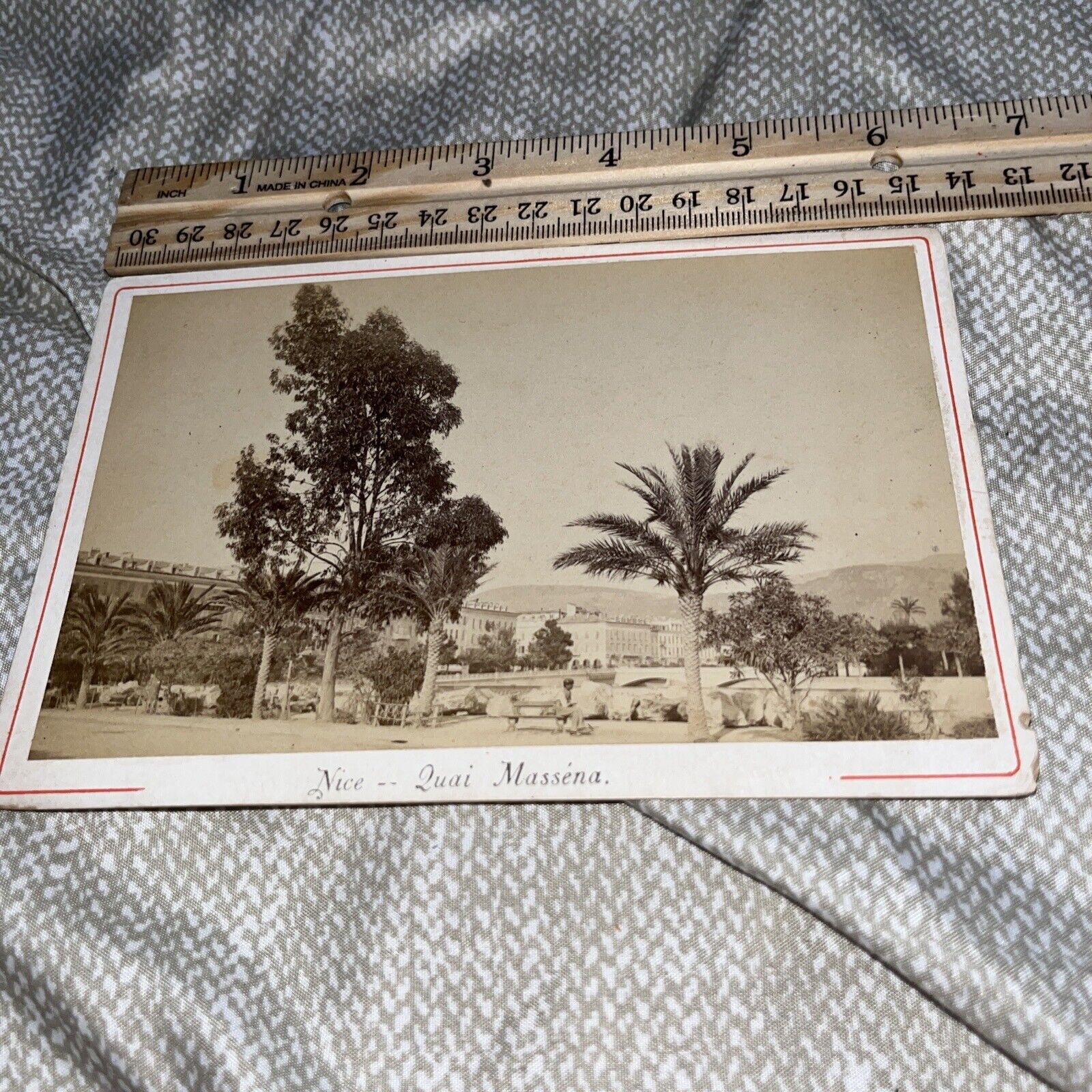 Antique Cabinet Card: Australian Eucalyptus in Nice Quai Massena France Masséna
