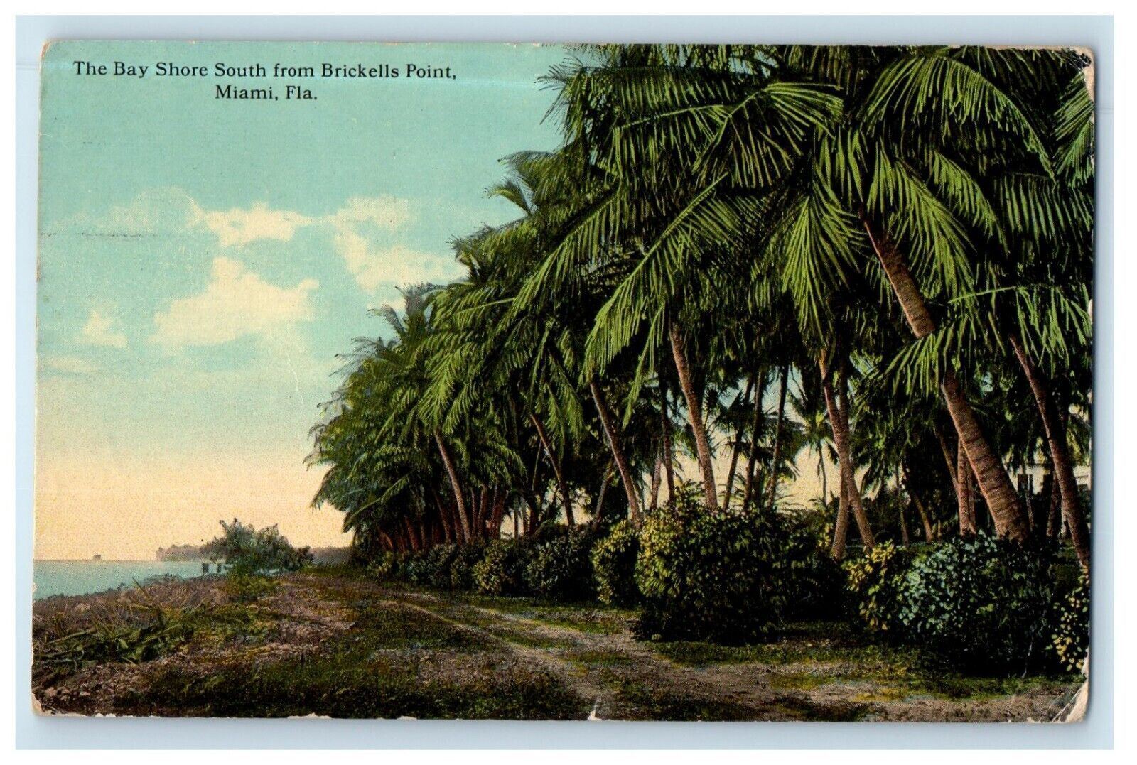 c1910\'s The Bay Shore South From Brickells Point Miami FL Antique Postcard