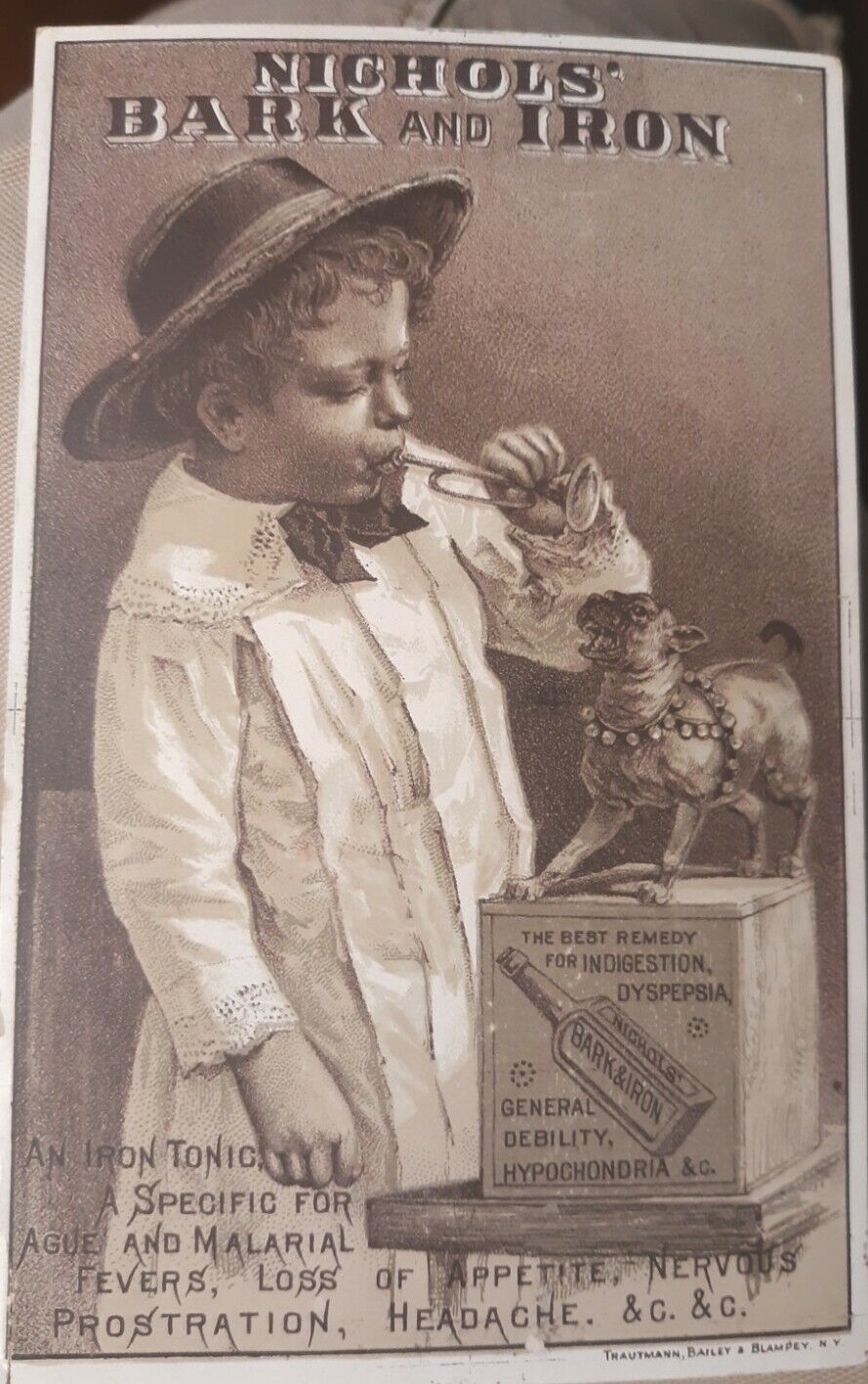 Boston Ma Nichols Bark and Iron tonic trade card 1871 advertising