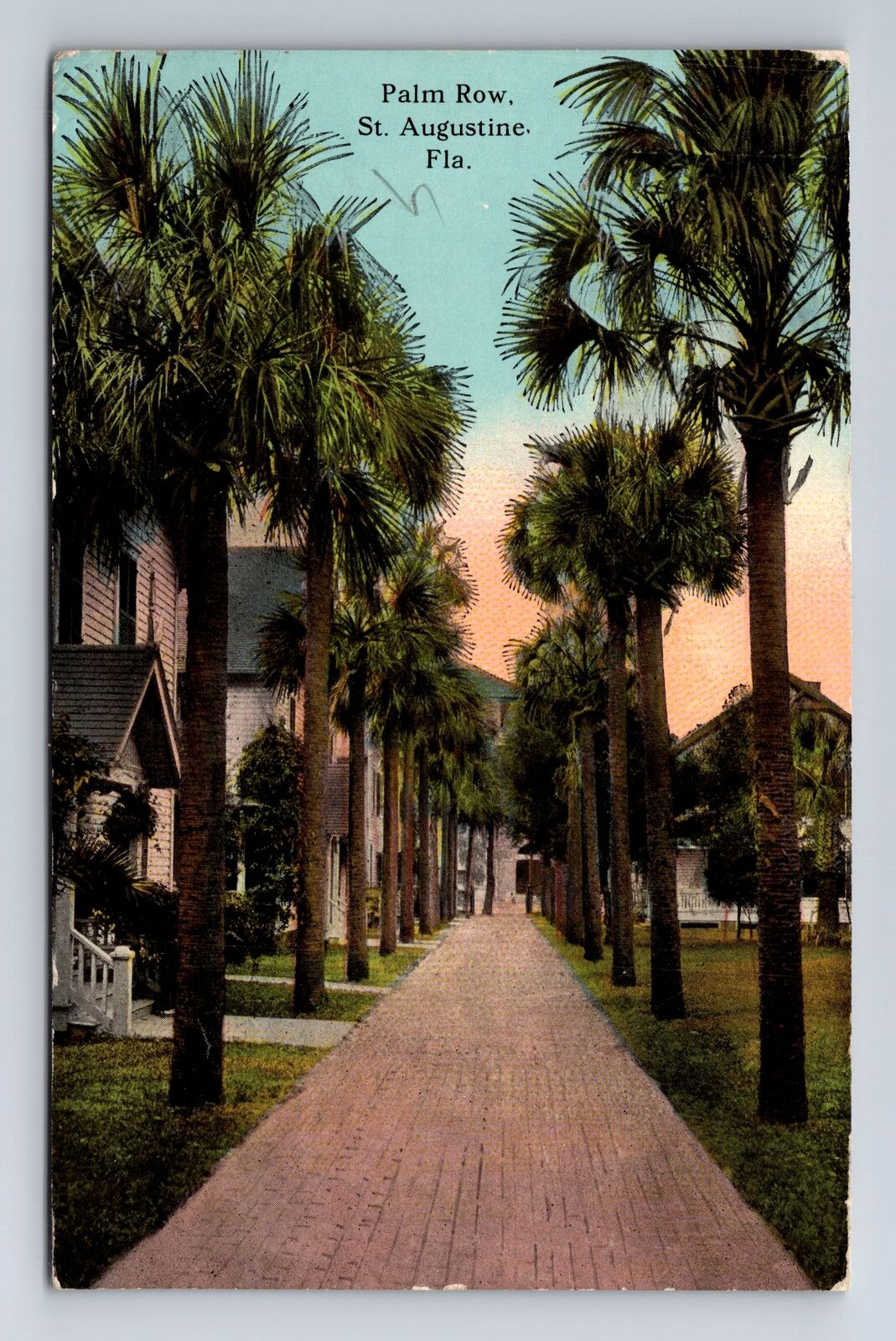 St Augustine FL-Florida, Palm Row, Antique, Vintage c1913 Postcard