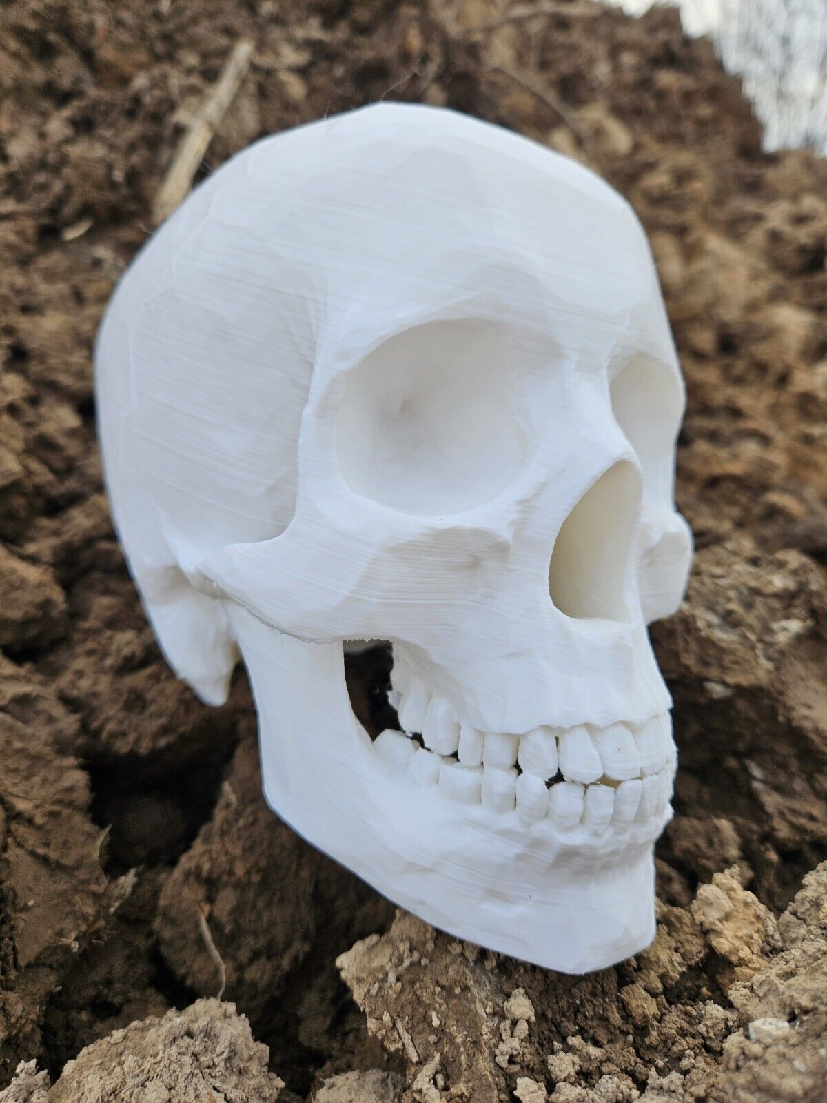 3D PRINTED Life Sized Human Skull Replica Model