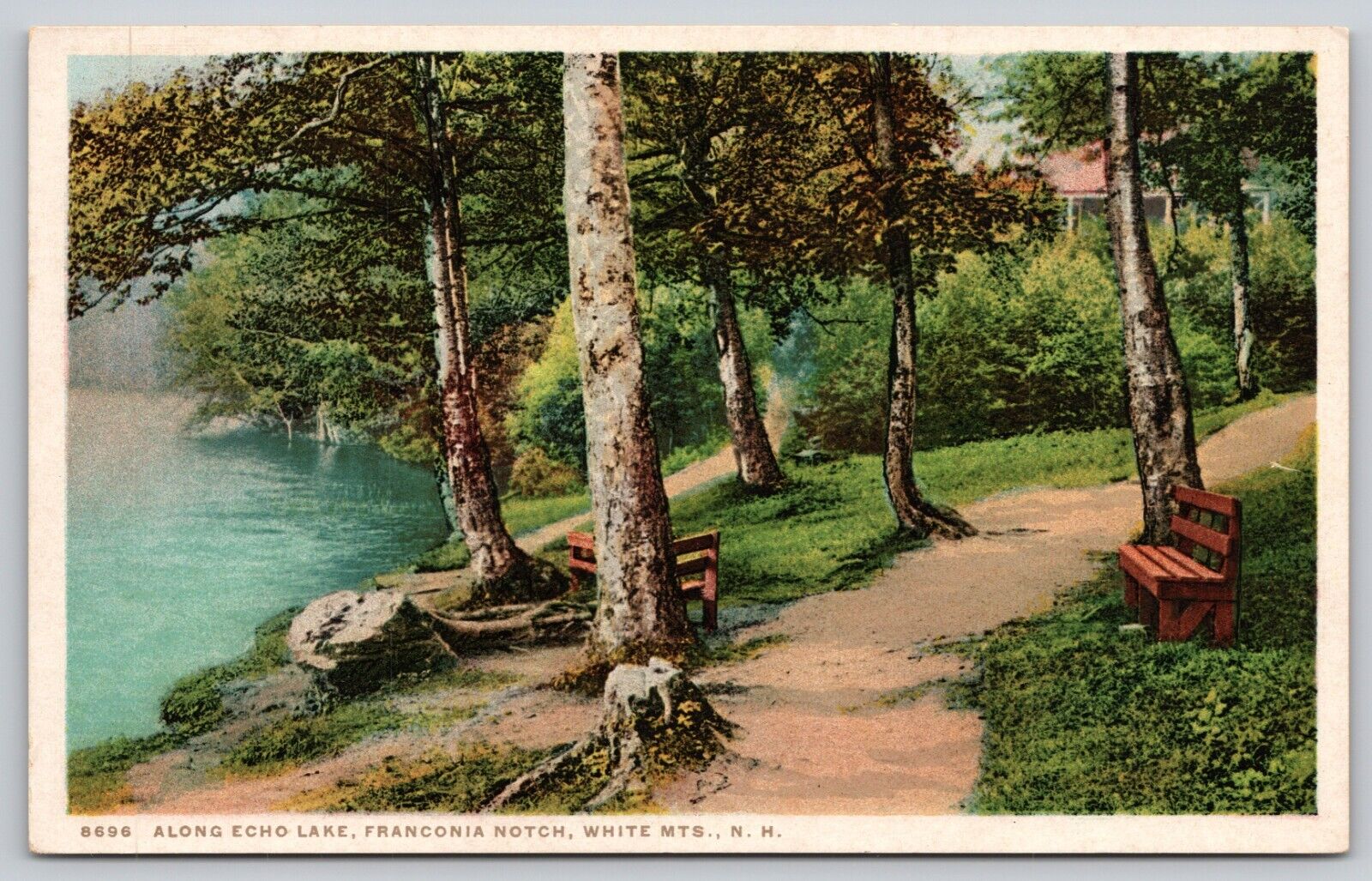 Postcard NH White Mountains Along Echo Lake WB UNP A8